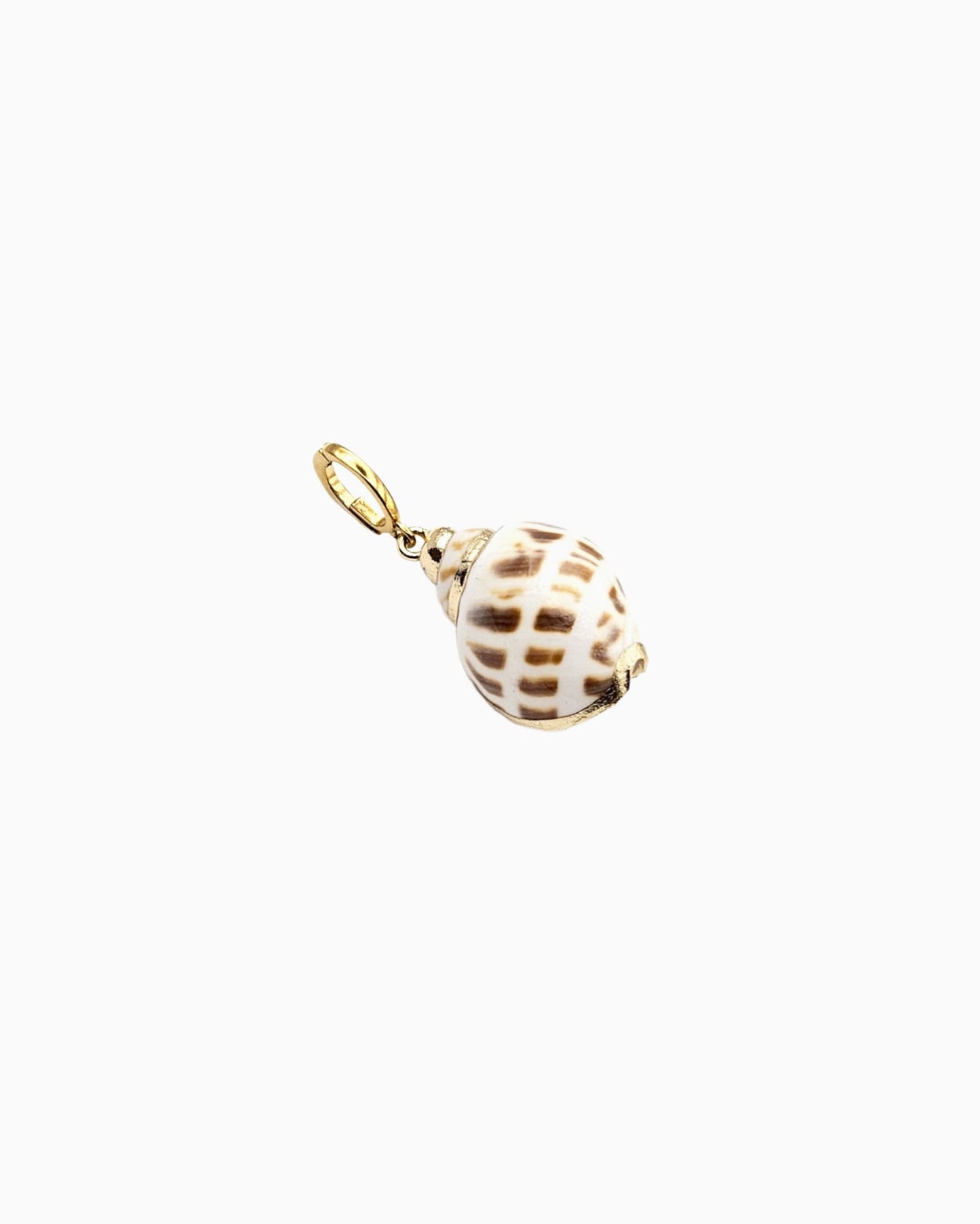 Babylonia Shell Clip-On Charm featuring a genuine natural Babylonia shell with gold trim