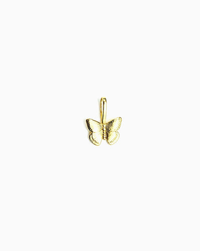 BUTTERFLY SLIDE ON CHARM