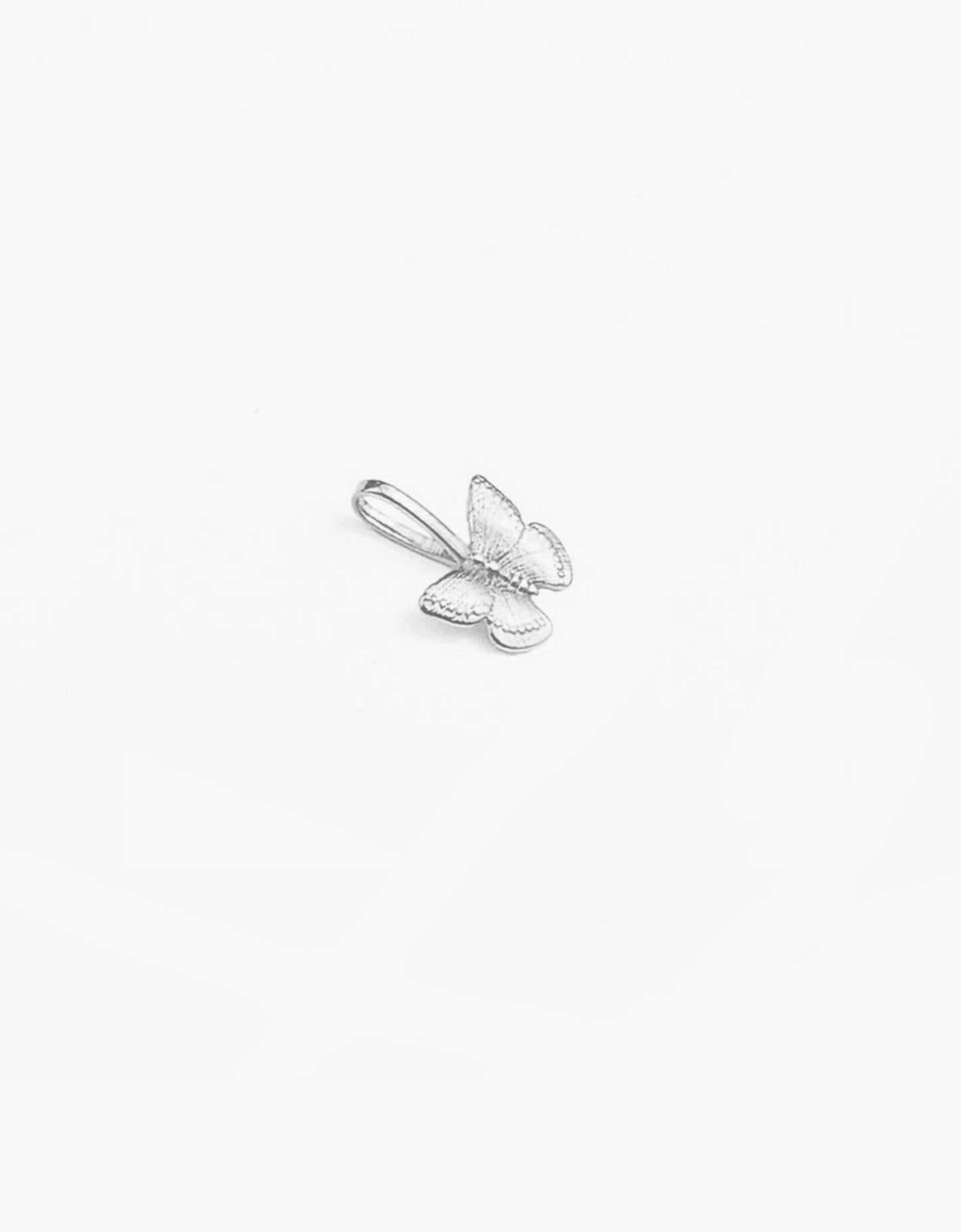 BUTTERFLY SLIDE ON CHARM