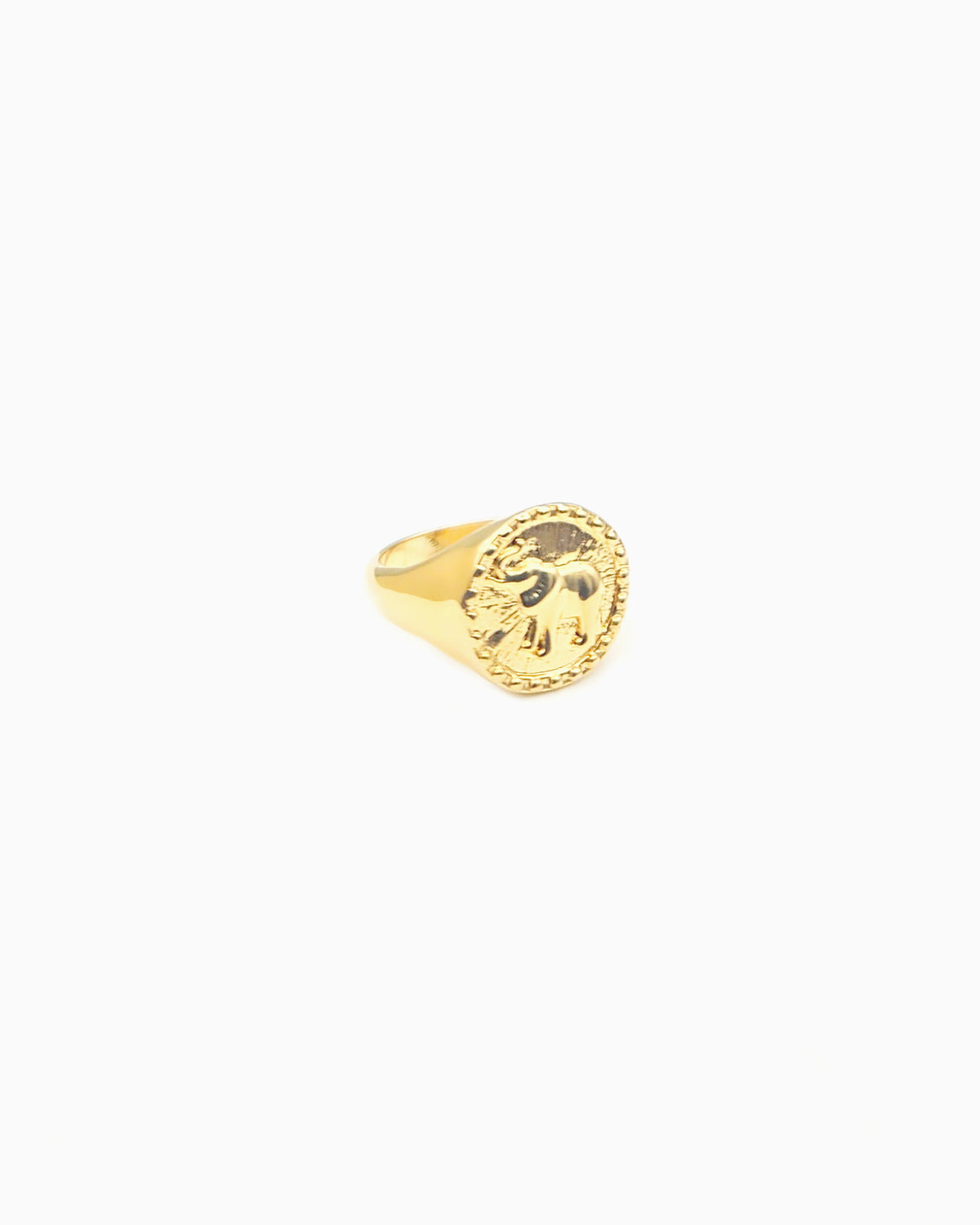 gold pvd plated elephant coin signet ring
