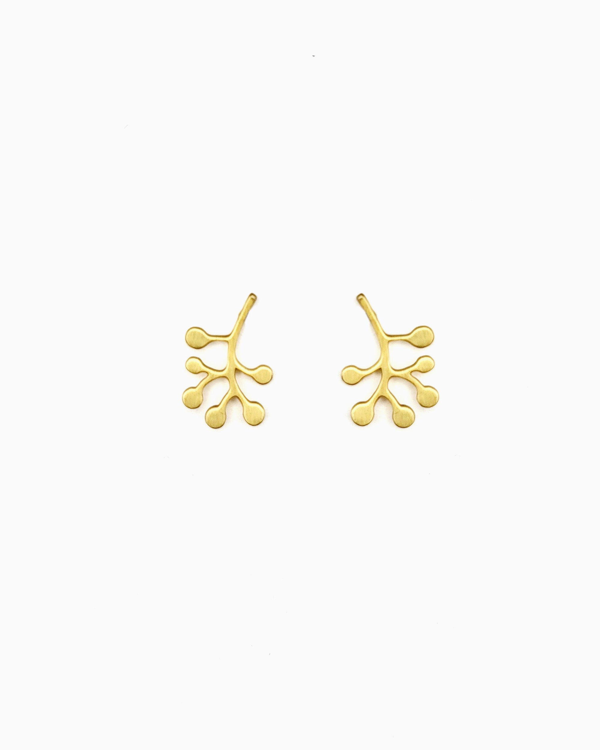 brushed gold pvd plated fern leaf stud earrings