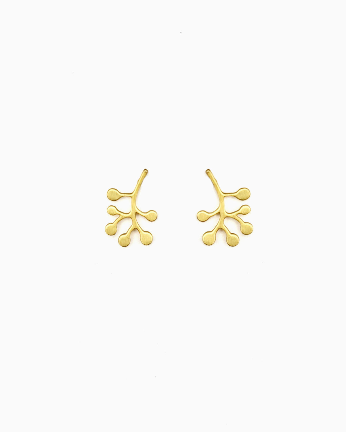 brushed gold pvd plated fern leaf stud earrings