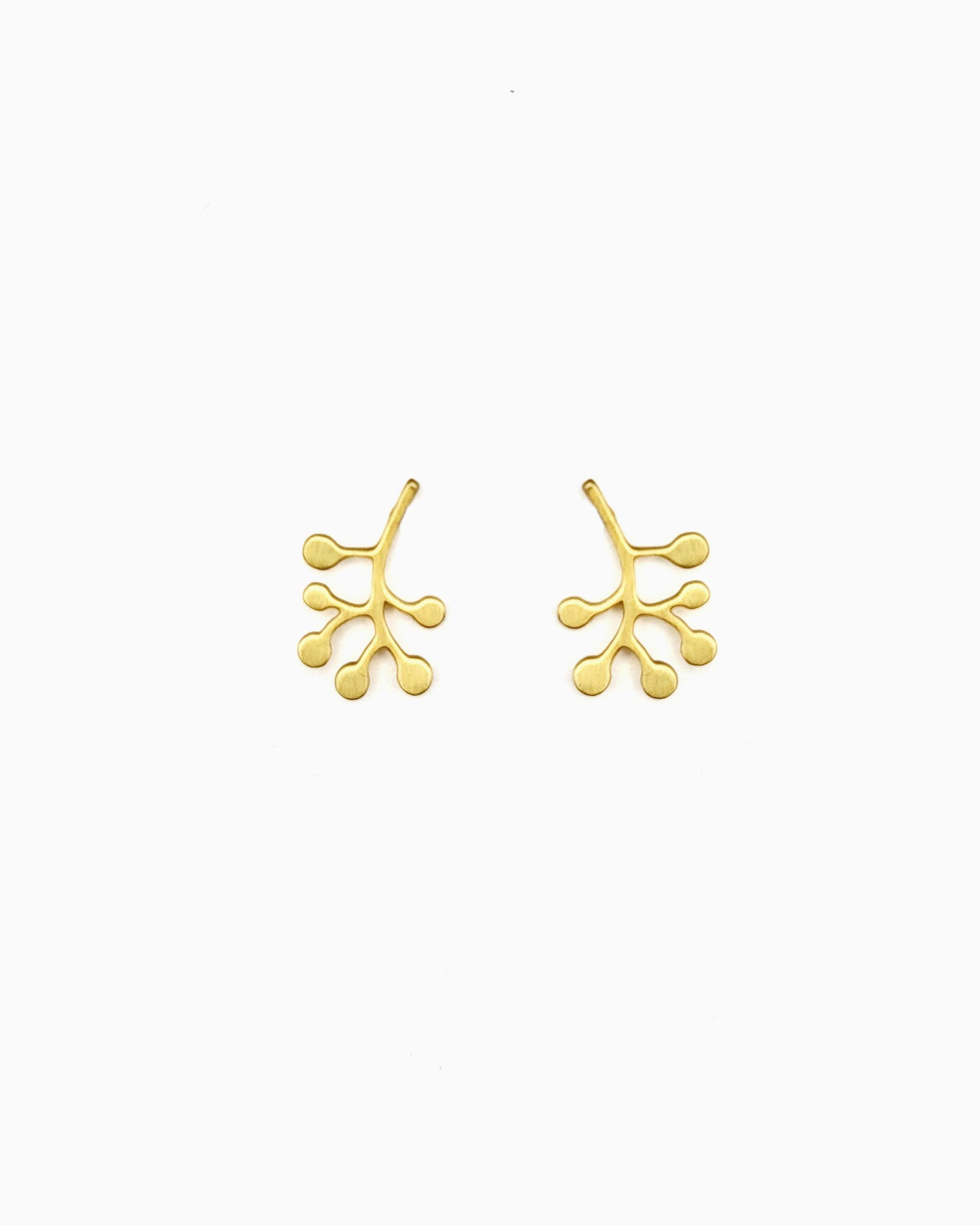 brushed gold pvd plated fern leaf stud earrings