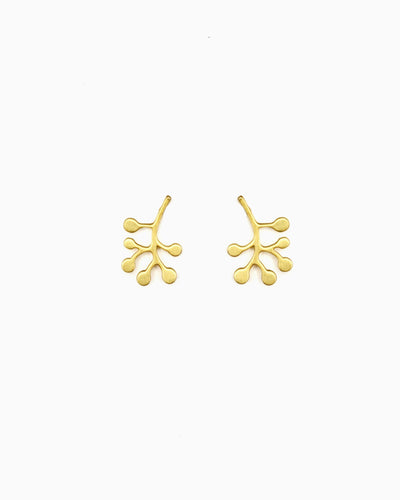 brushed gold pvd plated fern leaf stud earrings