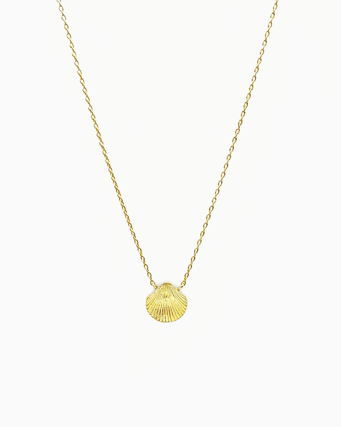 SEASHELL CHARM NECKLACE