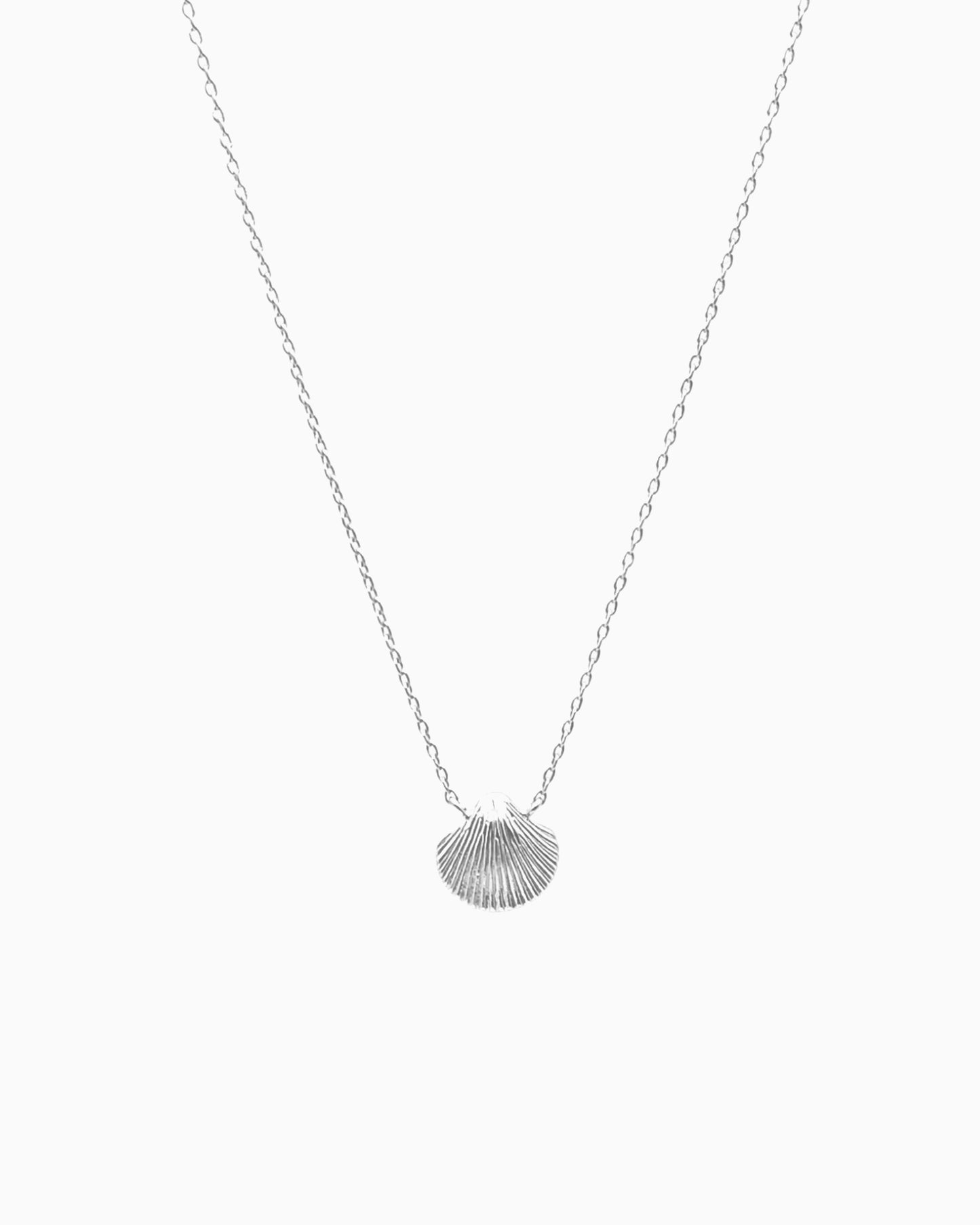 SEASHELL CHARM NECKLACE