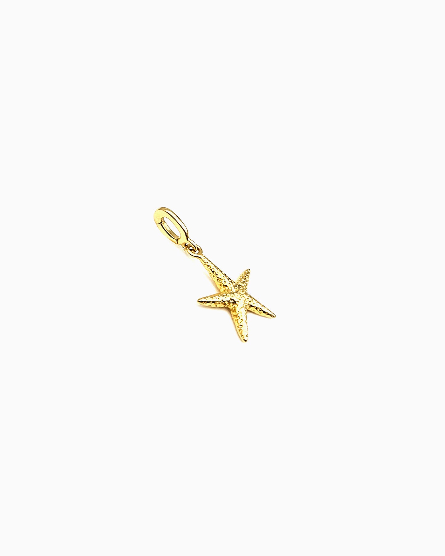 STARFISH CLIP-ON CHARM