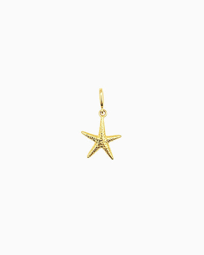 STARFISH CLIP-ON CHARM