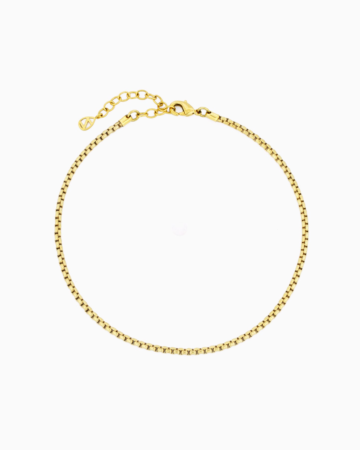 ROUND BOX CHAIN ANKLET