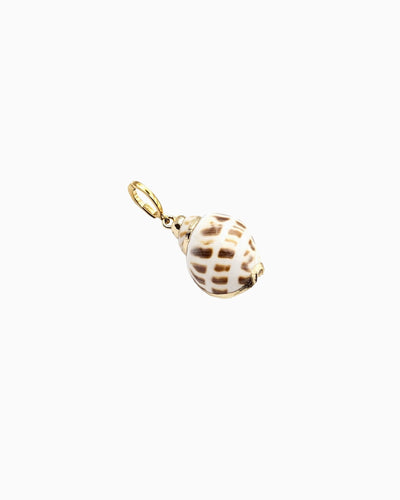 Babylonia Shell Clip-On Charm featuring a genuine natural Babylonia shell with gold trim