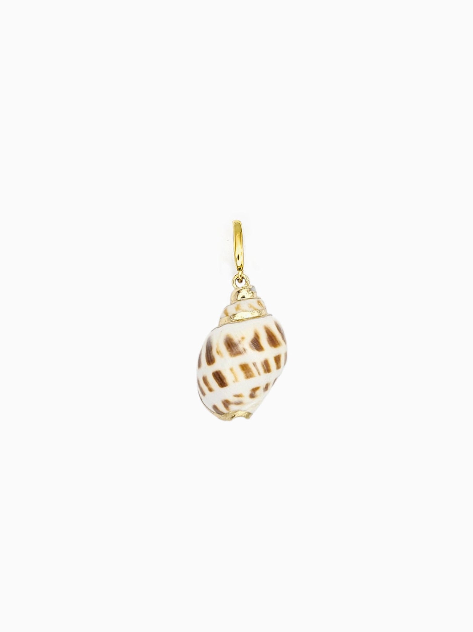 Babylonia Shell Clip-On Charm featuring a genuine natural Babylonia shell with gold trim