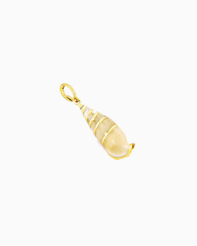 Spiral Shell Clip-On Charm featuring a genuine spiral shell with gold trim