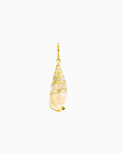Spiral Shell Clip-On Charm featuring a genuine spiral shell with gold trim